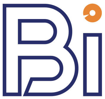 Basic Informatica Srl
